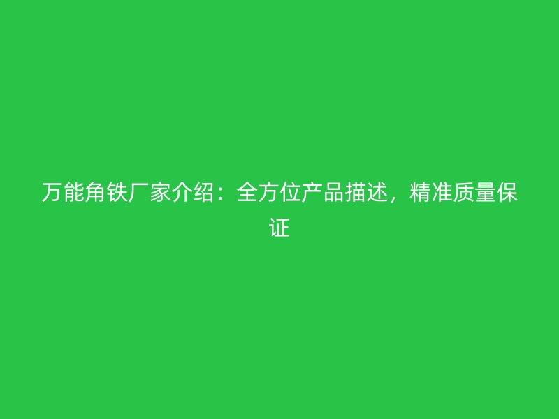 萬能角鐵廠家介紹：全方位產(chǎn)品描述，精準(zhǔn)質(zhì)量保證